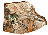 Afbeelding object 13ouderkerk1  - 37 - OUZR-V115-1