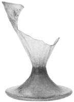 Afbeelding object 91nijm1 - 359 - Nym91-Ei 37