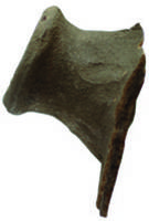 Afbeelding object 18slu5 - 49 - Fase 2 vnr. 137-7