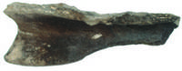 Afbeelding object 18slu5 - 51 - Fase 3 vnr. 651-3