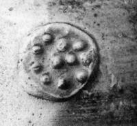 Afbeelding object 91nijm1 - 20 - Ei-ste-13