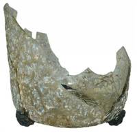 Afbeelding object 17zwo25 - 42 - 1-1-14; 10-1000