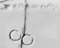 Afbeelding object 91nijm1 - 236 - Nym91-Ei 52