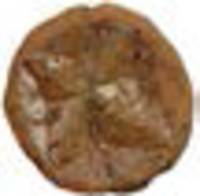 Afbeelding object 19uth1 - 12 - Doorn - A17.0066 - vnr. 71-2