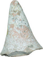 Afbeelding object 17asp1 - 43 - 1254-18