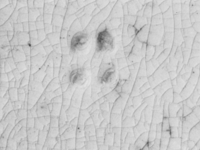 Afbeelding object 91nijm1 - 240 - Nym91-Ei 56