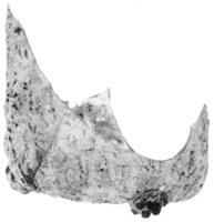 Afbeelding object 91nijm1 - 296 - Nym91-Ei 57