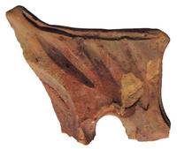 Afbeelding object 05mid1 - 86 - MIDG2-03 - 862-2