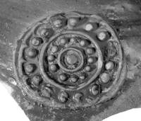 Afbeelding object 99sted - 60 - 225, NYM 1014-77-19