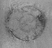 Afbeelding object 99sted - 85 - 231 NYM 1014-112-36