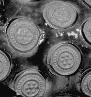 Afbeelding object 99sted - 209 - 160, DDT 47-1-343