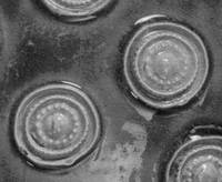 Afbeelding object 99sted - 214 - 160, DDT 47-1-350