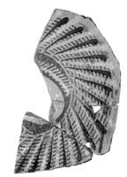 Afbeelding object 99sted - 445 - 308. TL 10-100