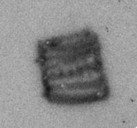 Afbeelding object 99sted - 1238 - 231, NYM 1014-112-121