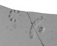 Afbeelding object 99sted - 1457 - 10, DEV 52-14-113