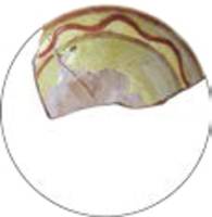 Afbeelding object 19beem1 - 10 - N244C -4 vnrs 56-122