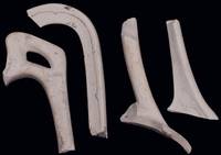 Afbeelding object 19utr27 - 62 - UTBL3 Vnr. 95 C.H. 20