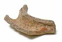 Afbeelding object 18zie2 - pi-8 - ZIEE objctnr.: 5112b(-1)