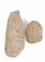 Afbeelding object 18zie2 - s2-55 - ZIEE objctnr.: 0006a en b