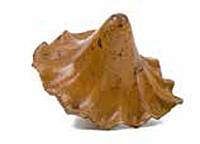 Afbeelding object 18zie2 - w-23 - ZIEE objctnr.: 2810