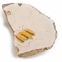 Afbeelding object 18zie2 - m-3 - ZIEE objctnr.: 2448h