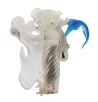 Afbeelding object 18lei3 - Gl. 11 - V934-19