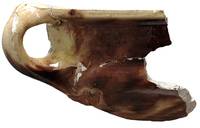 Afbeelding object 20utr23 - 91 - LR88 - vnr. 139-23