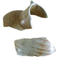 Afbeelding object 12mid4 - 10 - MIDG-SCHR-08-29137-12-7