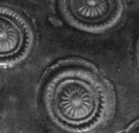 Afbeelding object 99sted - 206 - Sis99-Ddt99-160 323