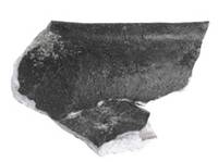 Afbeelding object 16bor1 - 28 - 's Heer Abtskerke - Vnr. 56-7