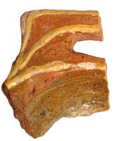 Afbeelding object 16bor1 - 73 - 's Heer Abtskerke - Vnr. 29-12