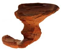 Afbeelding object 12dha6 - 29 - UHL-05o-4685.3