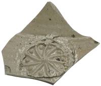 Afbeelding object 21zie3 - 6 - Plan Buzee vnr. 492-4