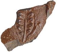 Afbeelding object  - 1 - L-JH-31