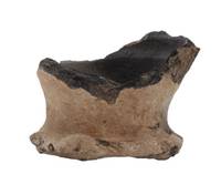 Afbeelding object 20arnhem8 AW - 55 - V733-8