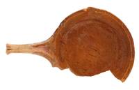 Afbeelding object 20arnhem8 AW - 135 - V391-6