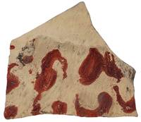 Afbeelding object 21dom2 - 21 - VEEE-18 393.002-3 / 215.001-1 / 298.002-1