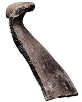 Afbeelding object 21dom2 - 25 - VEEE-18 676.001-2