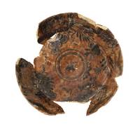 Afbeelding object 20arnhem8 AW - 258 - V381-33