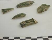 Berends_BP59_NIJM_s8-kan-1