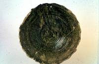 Afbeelding object 22nijm13 - 102 - NYM84-BP59-050