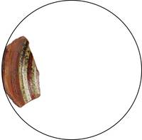 Afbeelding object 21eind2 - 20 - KER 99-1