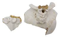 Afbeelding object 22alk26 - 41 - 01LAN104BP8/9