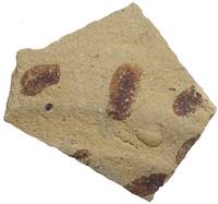 Afbeelding object 21mid8 - 4 - MISL-020-003 12-2