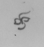 Afbeelding object 99sted - 1244 - Sis99-Nym99-200 87