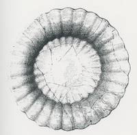 Afbeelding object 94bredaCMA9 - 09/034 - Visserstraat 31, Breda DM87-12