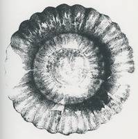 Afbeelding object 94bredaCMA9 - 09/035 - Visserstraat 31, Breda DM87-14