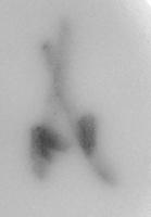 Afbeelding object 99sted - 1258 - Sis99-Nym99-200 96