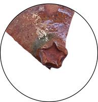 Afbeelding object 23utr25b - 43 - ZEE06 0073KER01-03