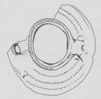 Afbeelding object 07merelbekeCMA18 - 18/022 - Merelbeke Caritas; 2001; MBC/303/L2N/002